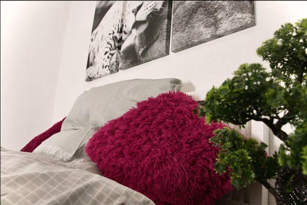 Modern Holiday Home Near Rheinfall And Black Forest Weisweil  Ngoại thất bức ảnh