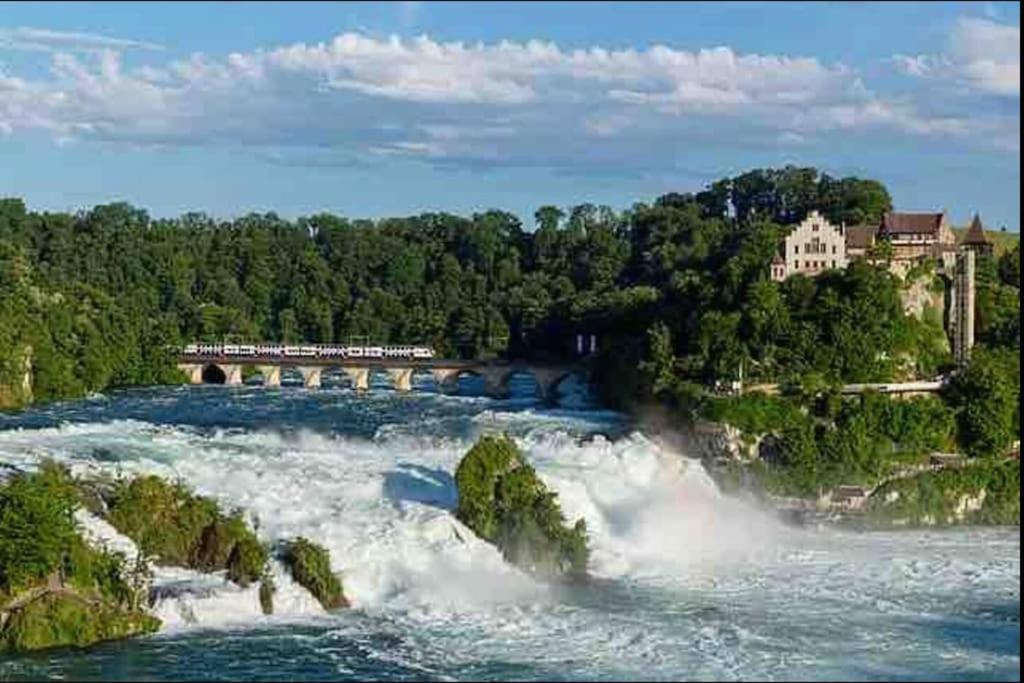 Modern Holiday Home Near Rheinfall And Black Forest Weisweil  Ngoại thất bức ảnh